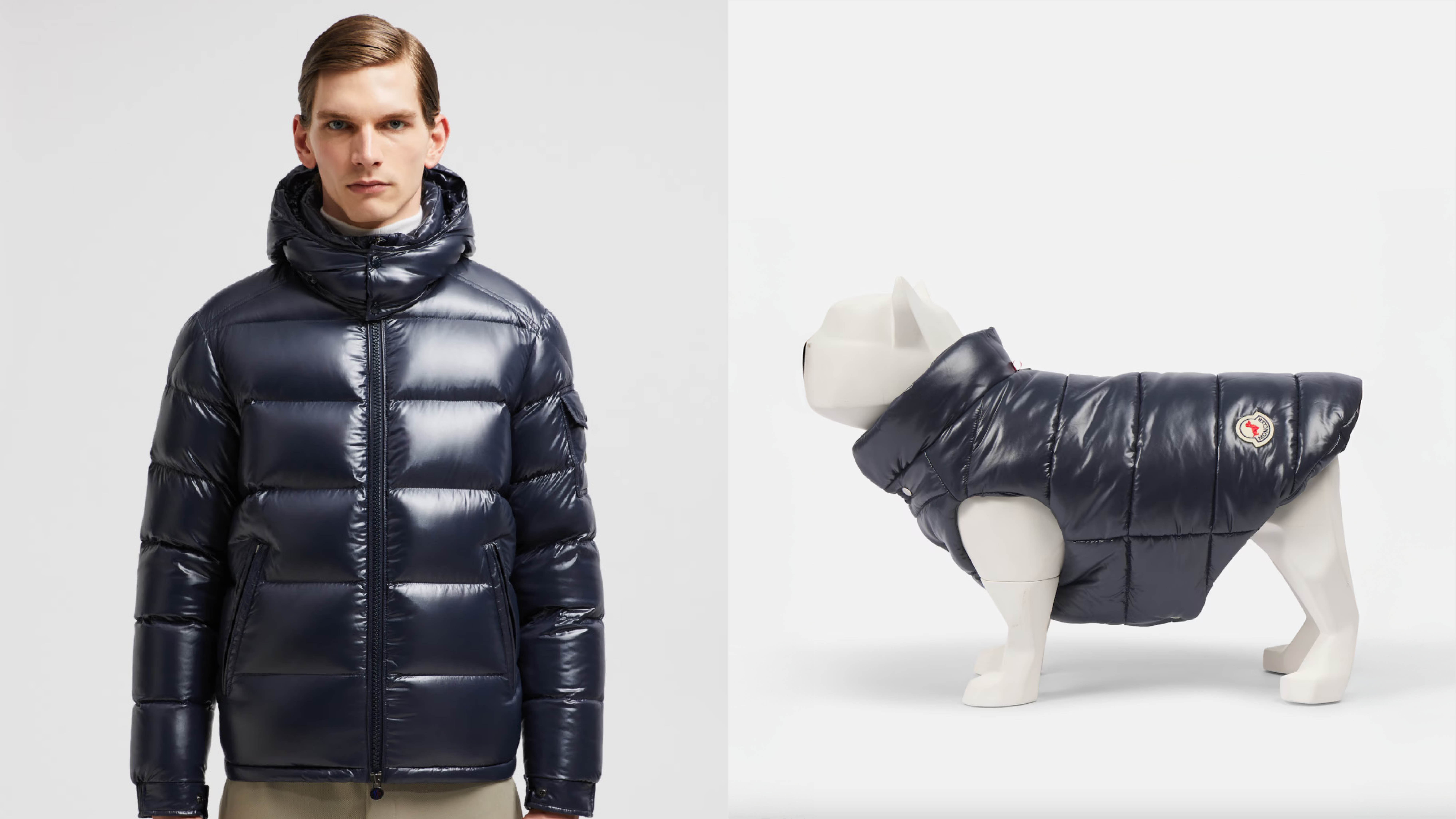 Moncler dog coat