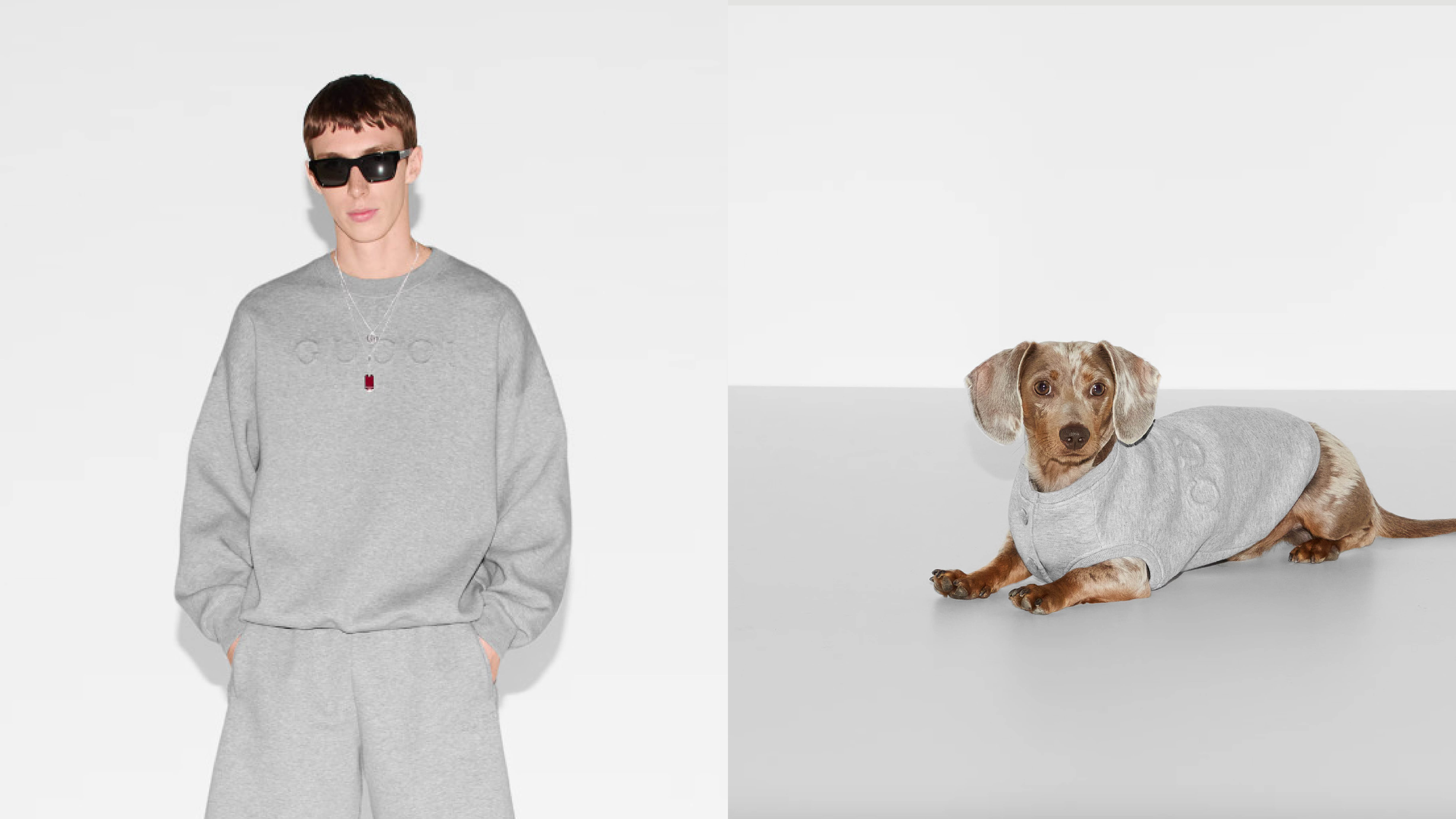 Designer dog clothes by Gucci